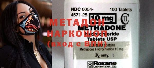 прущие грибы Корсаков