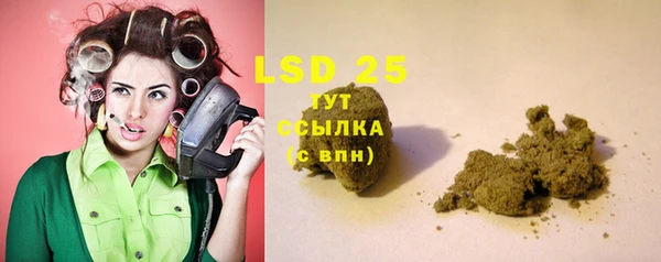 прущие грибы Корсаков