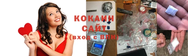 прущие грибы Корсаков