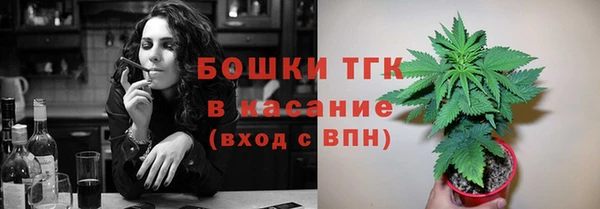 прущие грибы Корсаков