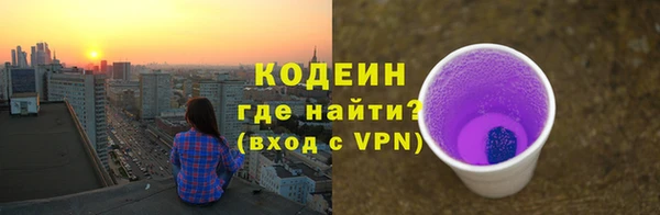 прущие грибы Корсаков