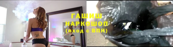 прущие грибы Корсаков