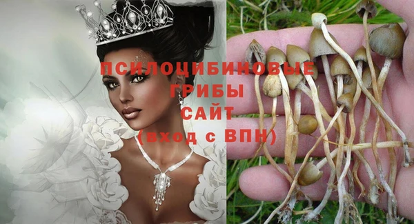 прущие грибы Корсаков