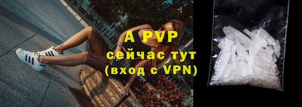 ECSTASY Долгопрудный