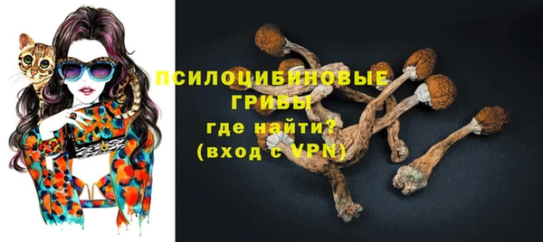 прущие грибы Корсаков