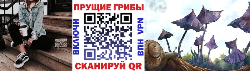 Галлюциногенные грибы мухоморы  Нелидово 